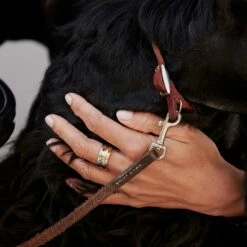 Bague Large DUA - Argenté / Doré -AGATHA Soldes 02220505 879 52 M2