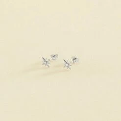 Boucles D'oreilles Puces OURSE - Cristal / Argenté